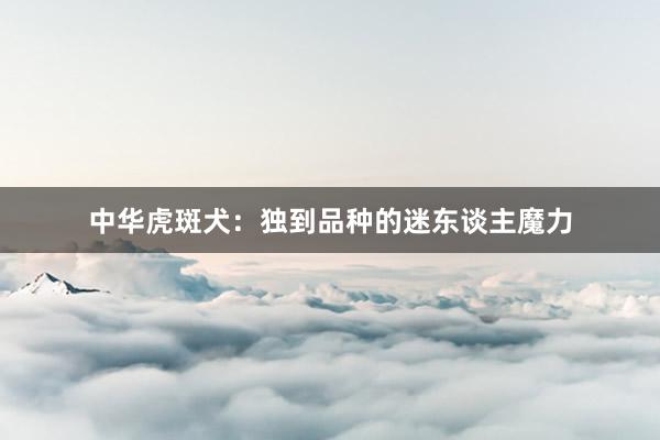 中华虎斑犬：独到品种的迷东谈主魔力