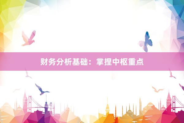 财务分析基础：掌捏中枢重点
